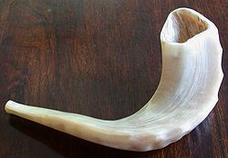 Shofar Ram's Horn